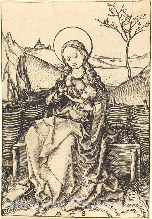 Art Print : Martin Schongauer, Virgin and Child on a Grassy Bench, c.1478 - Vintage Wall Art