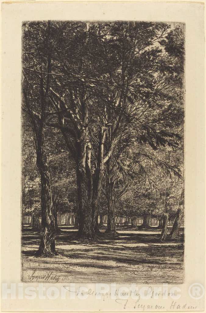 Art Print : Francis Seymour Haden, Kensington Gardens (The Larger Plate), 1860 - Vintage Wall Art