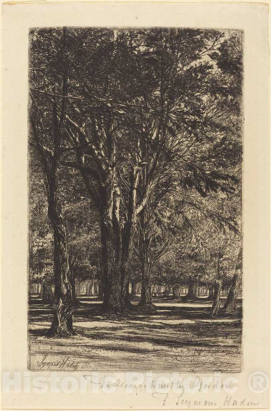 Art Print : Francis Seymour Haden, Kensington Gardens (The Larger Plate), 1860 - Vintage Wall Art