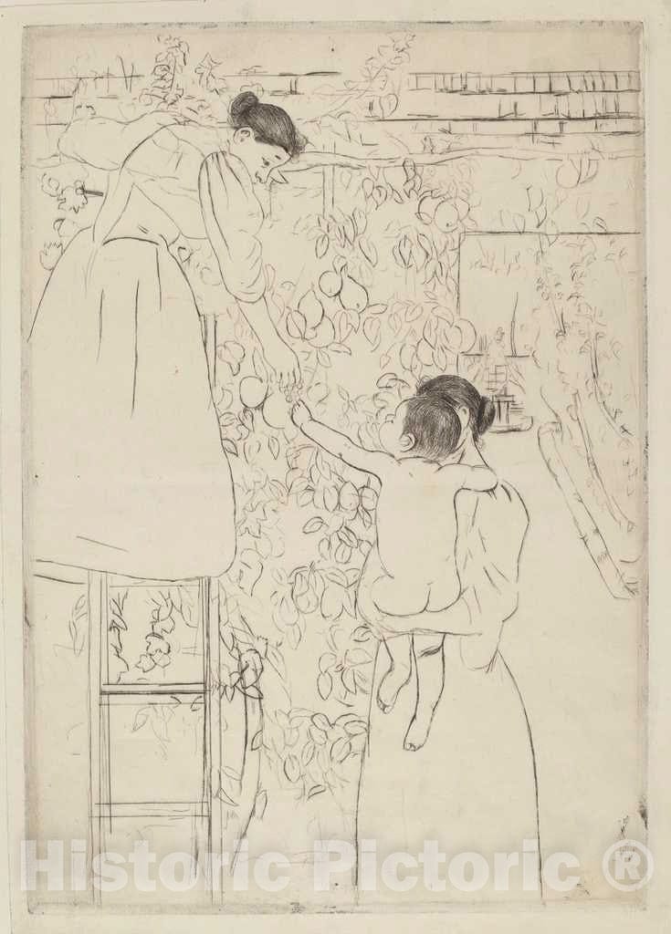 Art Print : Mary Cassatt, Gathering Fruit, c. 1893 - Vintage Wall Art