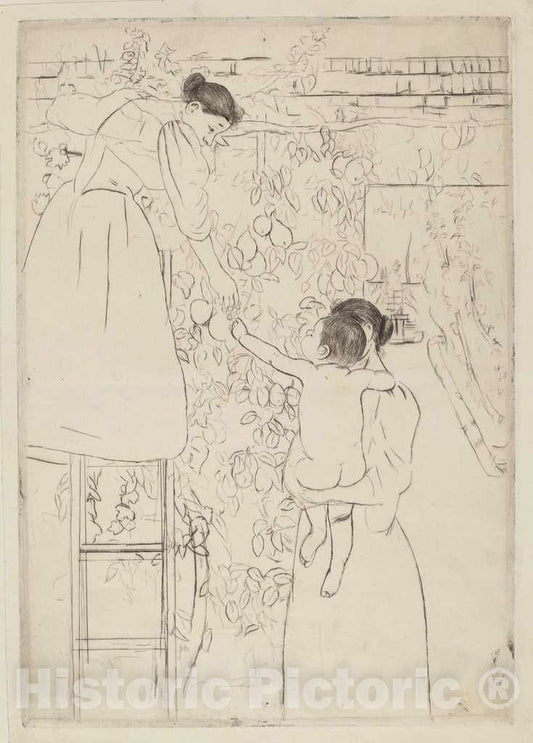 Art Print : Mary Cassatt, Gathering Fruit, c. 1893 - Vintage Wall Art