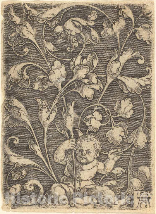 Art Print : Aldegrever, Scroll Ornament with Seated Child, 1532 - Vintage Wall Art