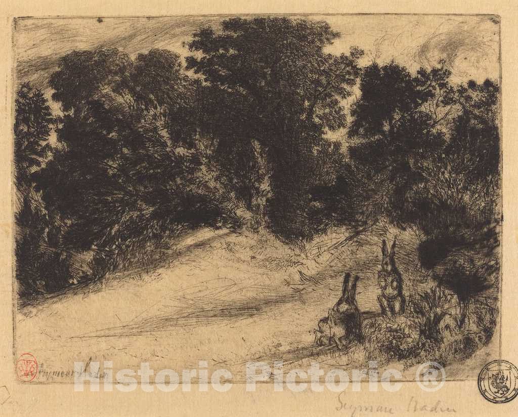 Art Print : Francis Seymour Haden, Combe Bottom, 1860 - Vintage Wall Art