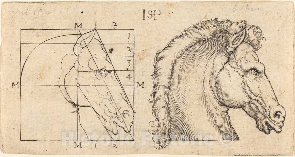 Art Print : Sebald Beham, Two Horse Heads - Vintage Wall Art