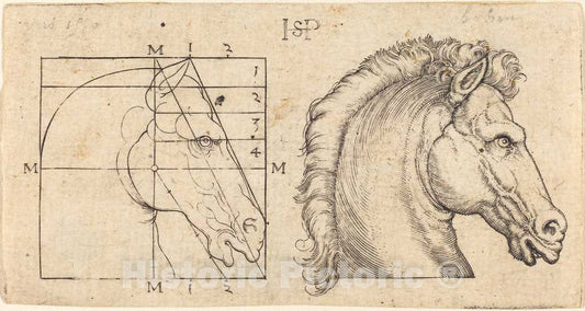 Art Print : Sebald Beham, Two Horse Heads - Vintage Wall Art