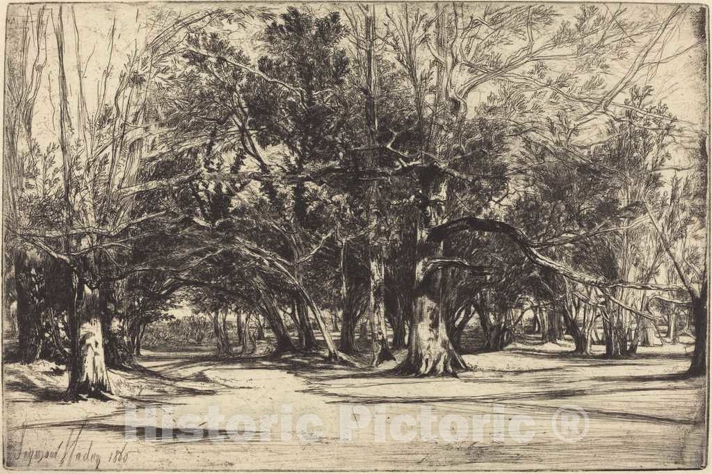 Art Print : Francis Seymour Haden, A by-Road in Tipperary, 1860 - Vintage Wall Art