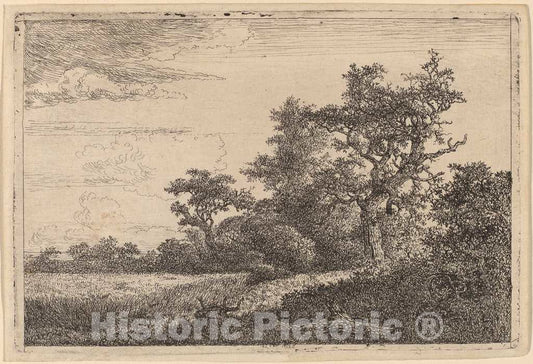 Art Print : Jacob Van Ruisdael, Grain Field at The Edge of a Wood (Corn Field) - Vintage Wall Art