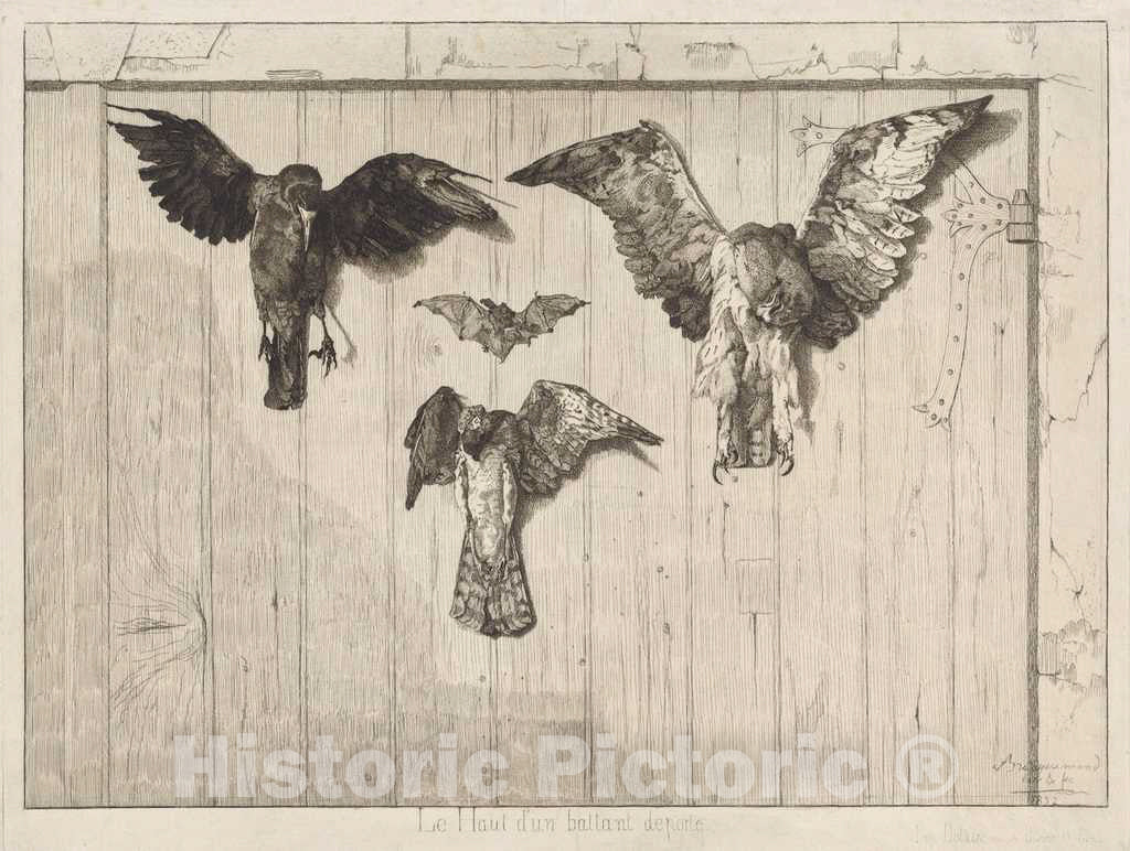 Art Print : FÃ©lix Bracquemond, Birds Nailed to a Barn Door (Le Haut d'un battant de Porte), 1852 - Vintage Wall Art