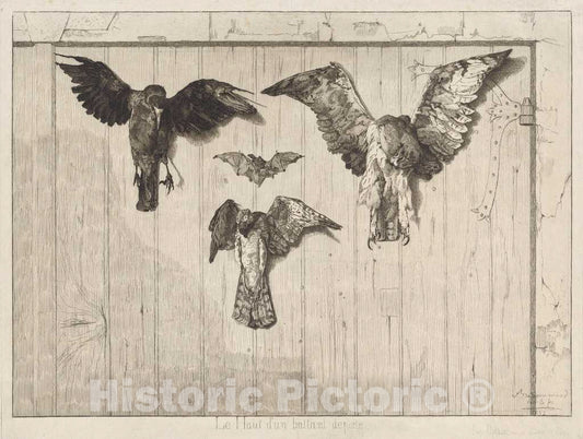 Art Print : FÃ©lix Bracquemond, Birds Nailed to a Barn Door (Le Haut d'un battant de Porte), 1852 - Vintage Wall Art