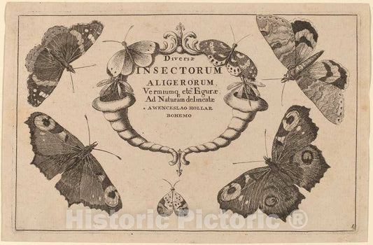 Art Print : Wenceslaus Hollar, Title Page - Vintage Wall Art