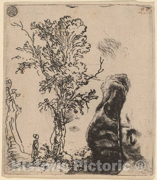 Art Print : Rembrandt, Sheet with Two Studies: a Tree, and The Upper Part of a Head of The Artist Wearing a Velvet Cap, c. 1642 - Vintage Wall Art