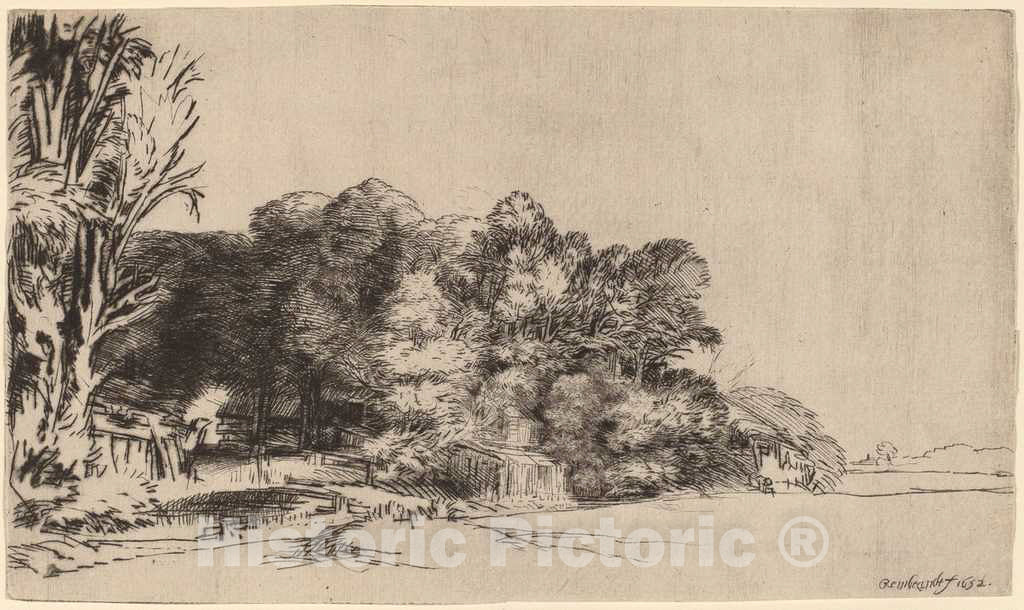 Art Print : Rembrandt, Clump of Trees with a Vista, 1652 - Vintage Wall Art