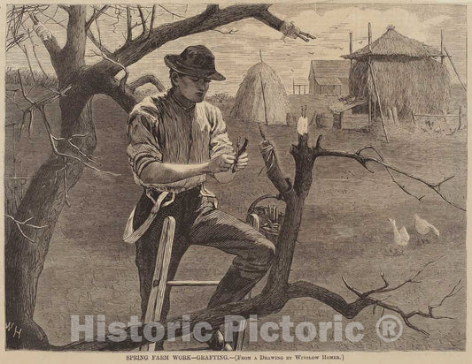 Art Print : Homer, Spring Farm Work - Grafting, 1870 - Vintage Wall Art