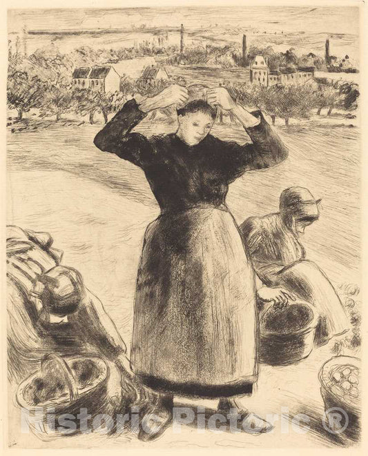 Art Print : Camille Pissarro, Gathering Potatoes (Recolte de Pommes de Terre), 1886 - Vintage Wall Art