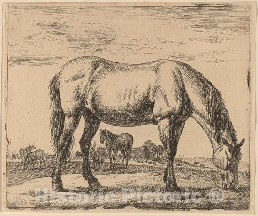 Art Print : Adriaen Van de Velde, Grazing Horse, c.1658 - Vintage Wall Art