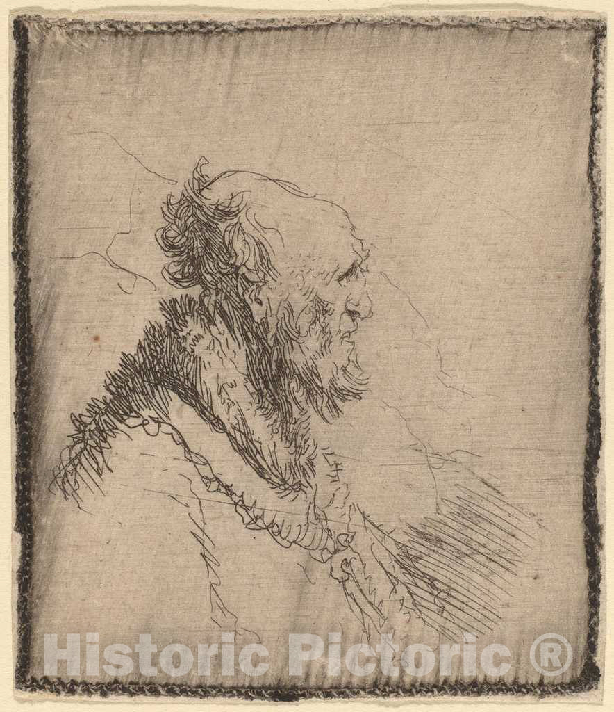 Art Print : Rembrandt, Bald Old Man with a Short Beard in Profile, c. 1635 - Vintage Wall Art
