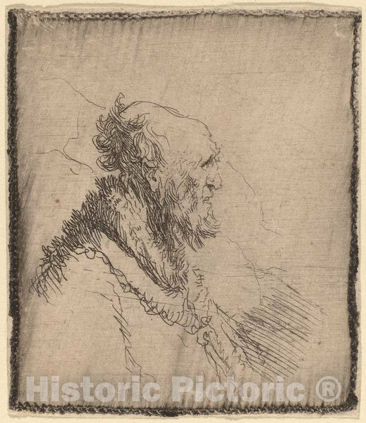 Art Print : Rembrandt, Bald Old Man with a Short Beard in Profile, c. 1635 - Vintage Wall Art