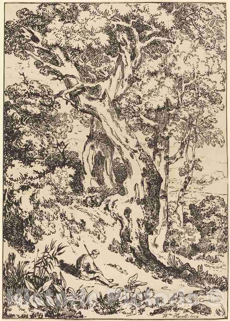 Art Print : William Havell, Study of Trees and Shrubs with Seated Figure, 1804 - Vintage Wall Art