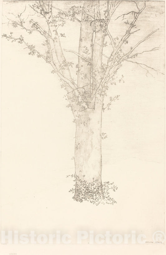 Art Print : Odilon Redon, Arbre (Tree), 1892 - Vintage Wall Art