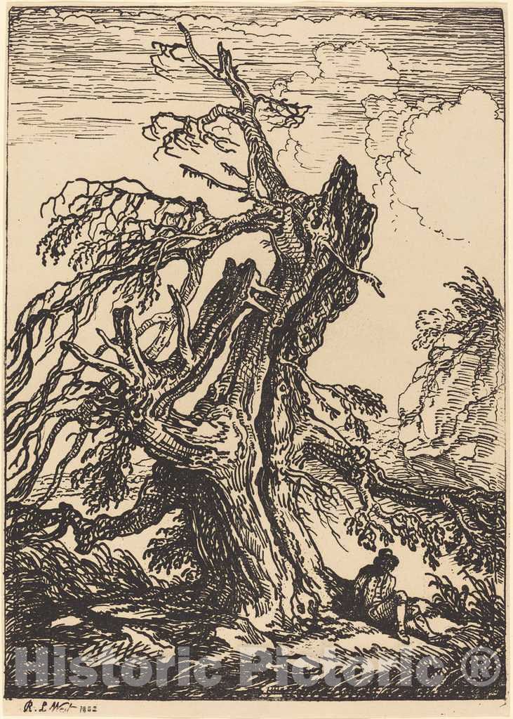 Art Print : Raphael Lamar West, Study of a Tree, 1802 - Vintage Wall Art