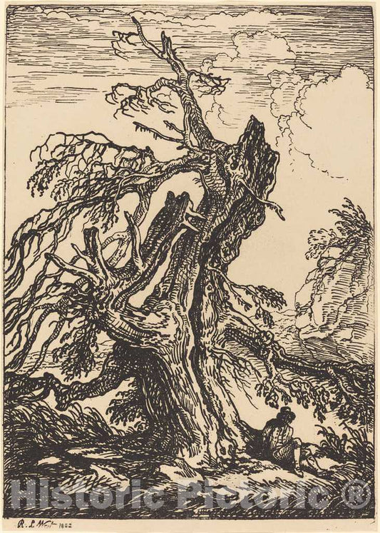 Art Print : Raphael Lamar West, Study of a Tree, 1802 - Vintage Wall Art