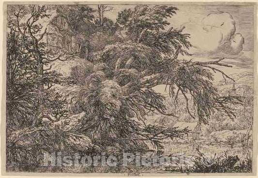 Art Print : Jacob Van Ruisdael, Cottage on a Hill - Vintage Wall Art