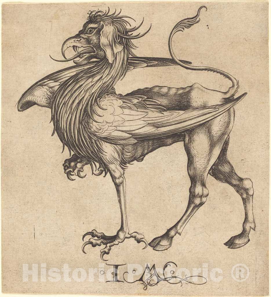 Art Print : Meckenem After Martin Schongauer, The Griffin - Vintage Wall Art