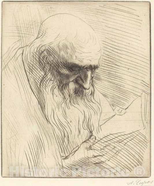 Art Print : Alphonse Legros, Study of The Head of a Man Reading (Etude de Tete d'homme lisant) - Vintage Wall Art
