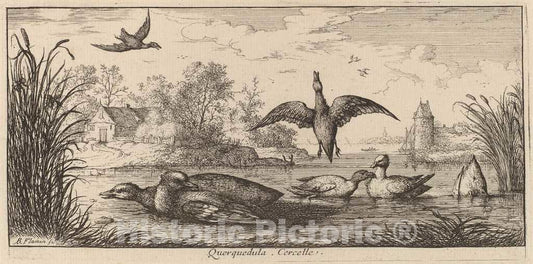 Art Print : Albert Flamen, Querpedula, The Teal - Vintage Wall Art