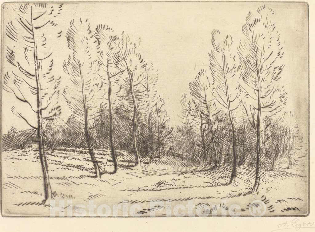Art Print : Alphonse Legros, Avenue of Poplars (L'allee de peupliers) - Vintage Wall Art