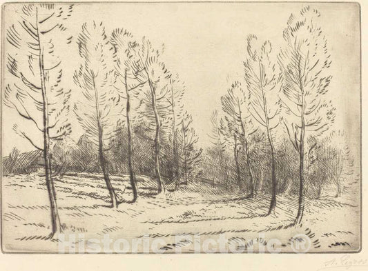Art Print : Alphonse Legros, Avenue of Poplars (L'allee de peupliers) - Vintage Wall Art