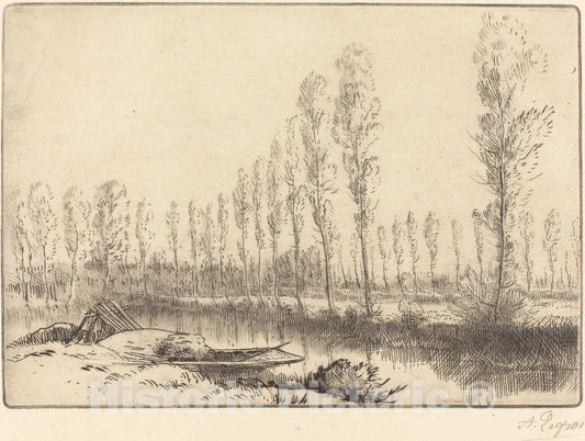 Art Print : Alphonse Legros, Poplars Near Amiens (Pres d'Amiens, les tourbieres) - Vintage Wall Art