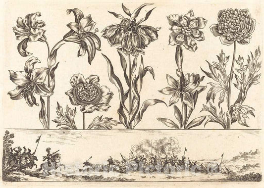 Art Print : Nicolas Cochin After Moncornet, Flower Print no.8, 1645 - Vintage Wall Art