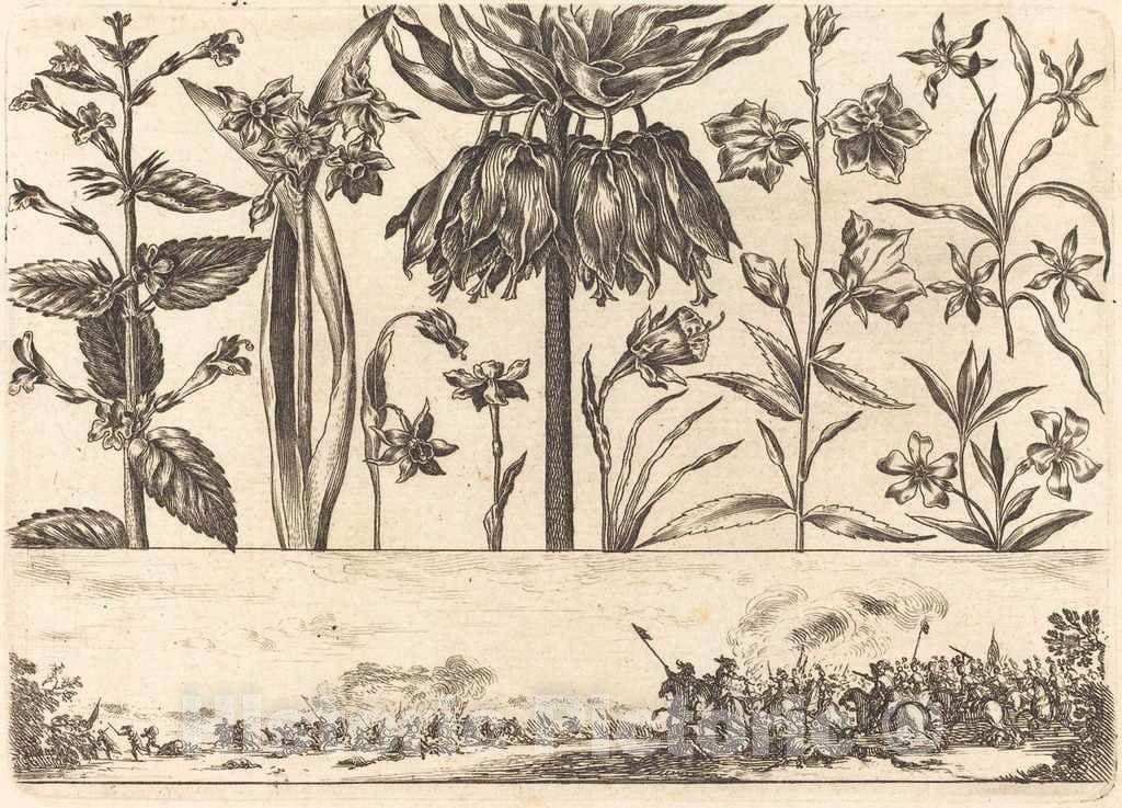 Art Print : Nicolas Cochin After Moncornet, Flower Print no.10, 1645 - Vintage Wall Art