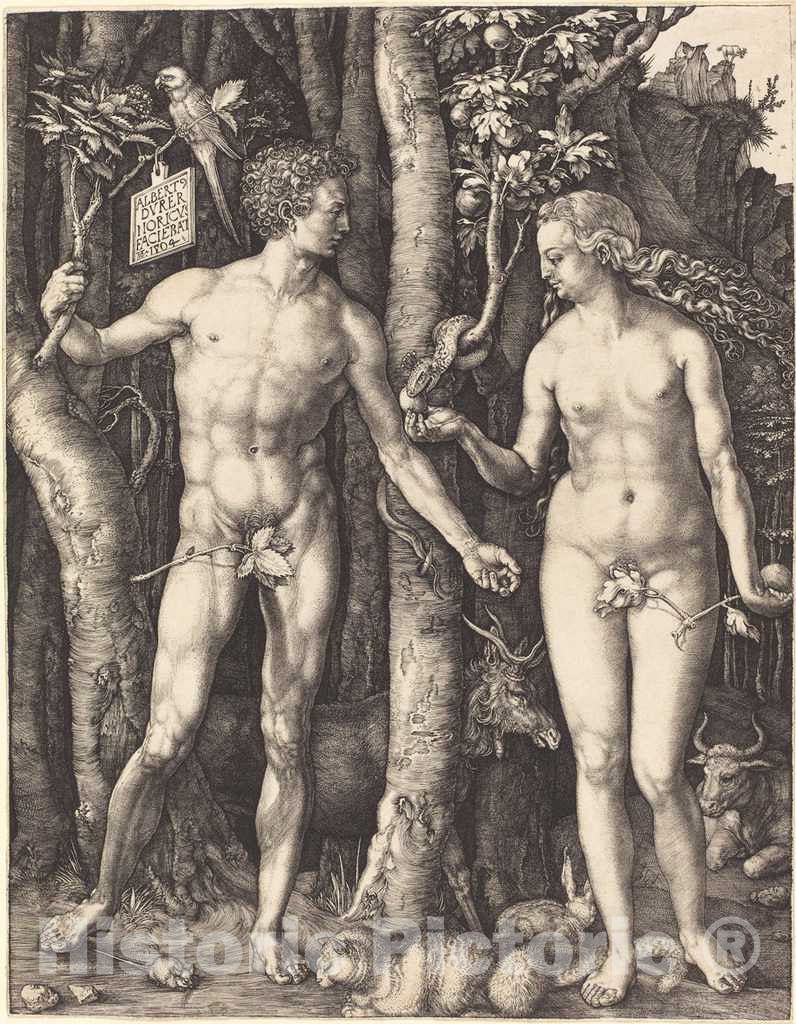 Art Print : Albrecht DÃ¼rer, Adam and Eve, 1504 - Vintage Wall Art