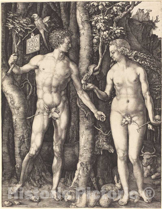 Art Print : Albrecht DÃ¼rer, Adam and Eve, 1504 - Vintage Wall Art