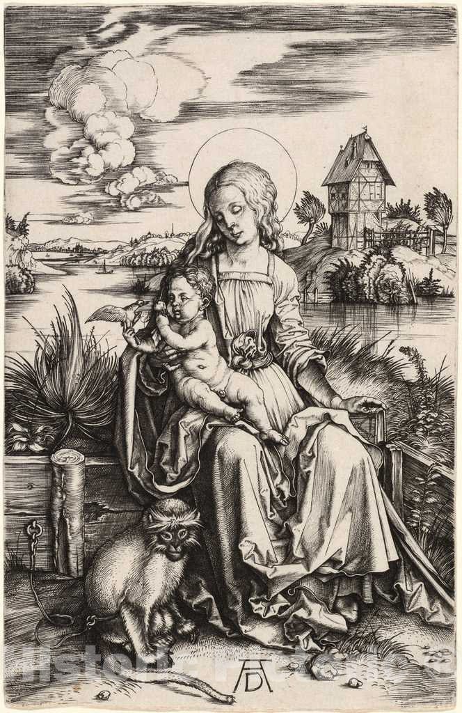 Art Print : Albrecht DÃ¼rer, The Virgin and Child with The Monkey, c. 1498 - Vintage Wall Art