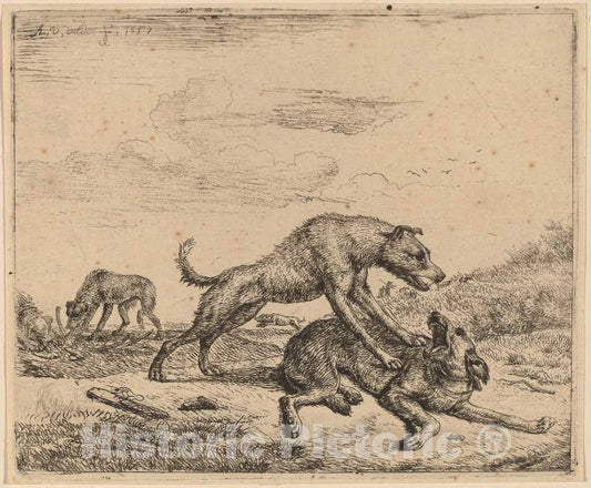 Art Print : Adriaen Van de Velde, Fighting Dogs, c.1658 - Vintage Wall Art