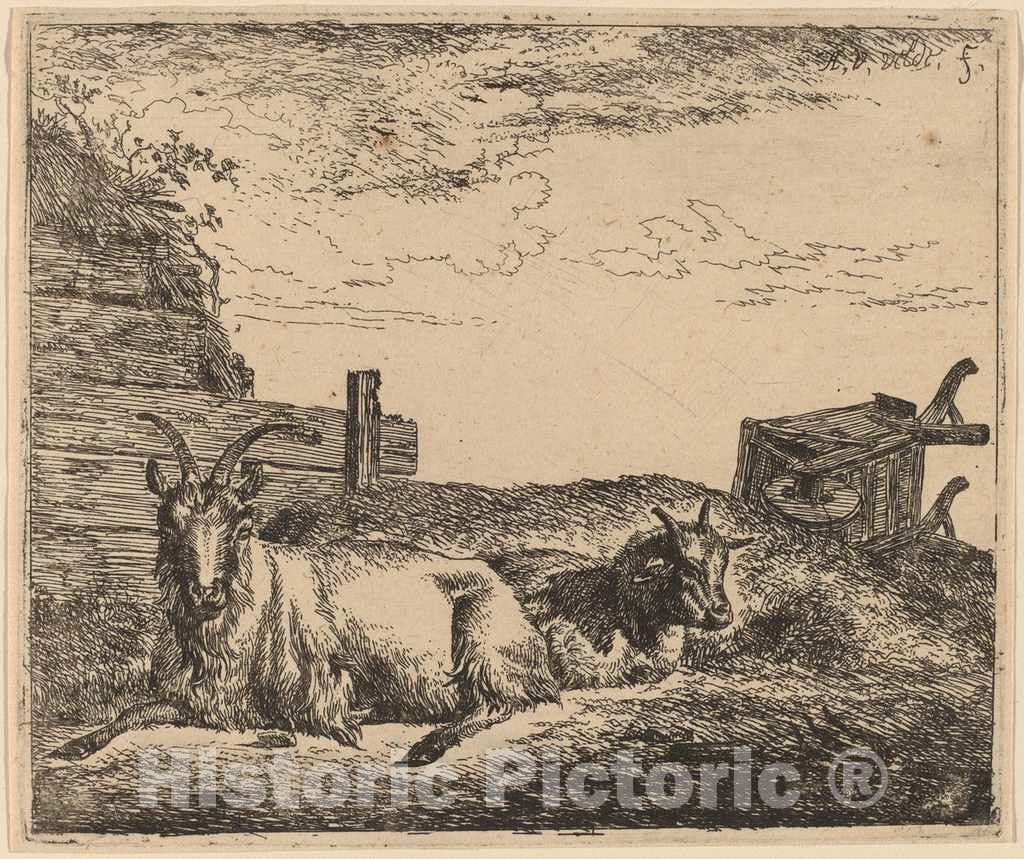 Art Print : Adriaen Van de Velde, Recumbent Goats, c.1658 - Vintage Wall Art