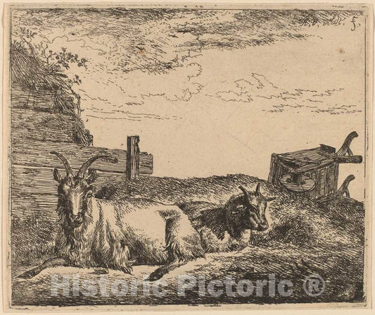 Art Print : Adriaen Van de Velde, Recumbent Goats, c.1658 - Vintage Wall Art