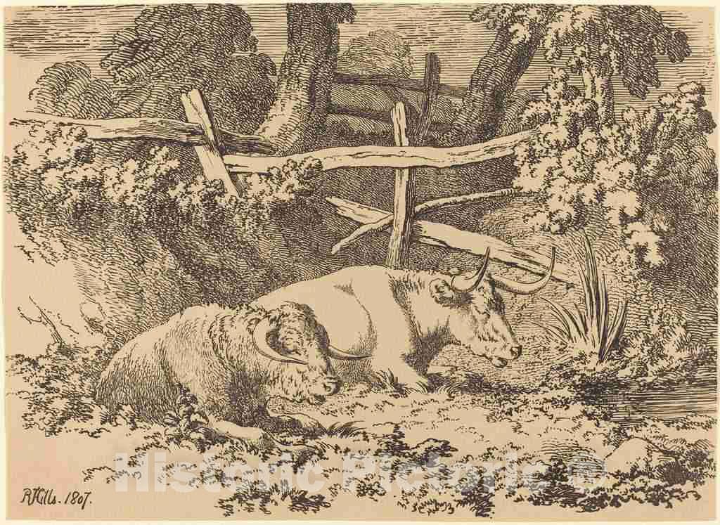 Art Print : Robert Hills, Cattle Resting, 1807 - Vintage Wall Art