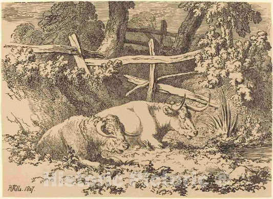 Art Print : Robert Hills, Cattle Resting, 1807 - Vintage Wall Art