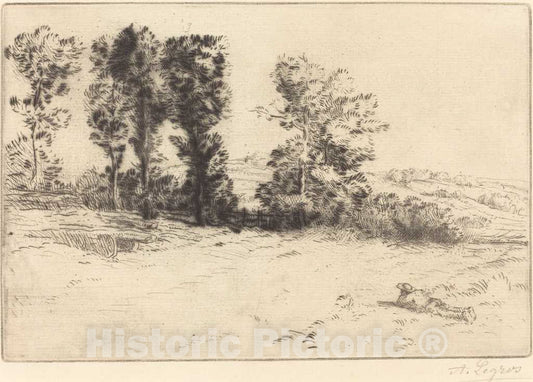 Art Print : Alphonse Legros, Meadow in Sunshine (Le pre ensoleille) - Vintage Wall Art
