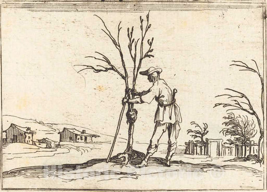 Art Print : Jacques Callot, Gardener Pruning a Tree, 1628 - Vintage Wall Art