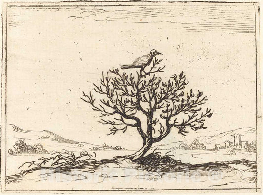 Art Print : Jacques Callot, Nightingale in a Bush, 1628 - Vintage Wall Art