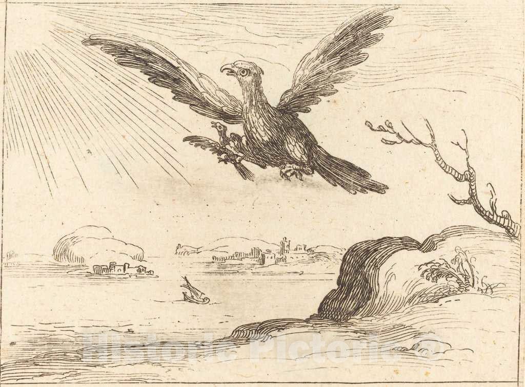 Art Print : Jacques Callot, Eagle and Young - Vintage Wall Art