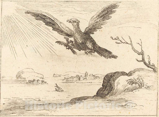 Art Print : Jacques Callot, Eagle and Young - Vintage Wall Art