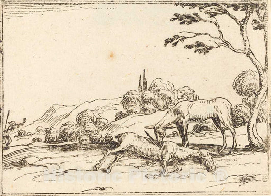 Art Print : Jacques Callot, Doe Mourning her Foal - Vintage Wall Art