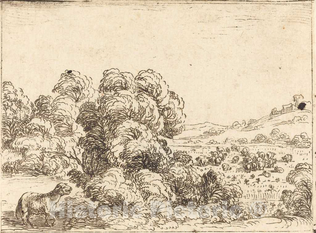 Art Print : Jacques Callot, Sheep Calling Lamb - Vintage Wall Art