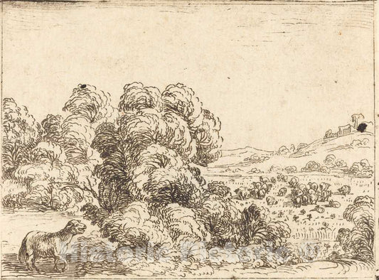 Art Print : Jacques Callot, Sheep Calling Lamb - Vintage Wall Art